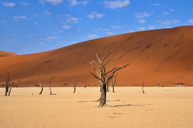 10 Day Discover Namibia Small Group Safari - Sossusvlei and Dead Vlei: the hike you’ll remember (and Big Daddy if you feel brave)