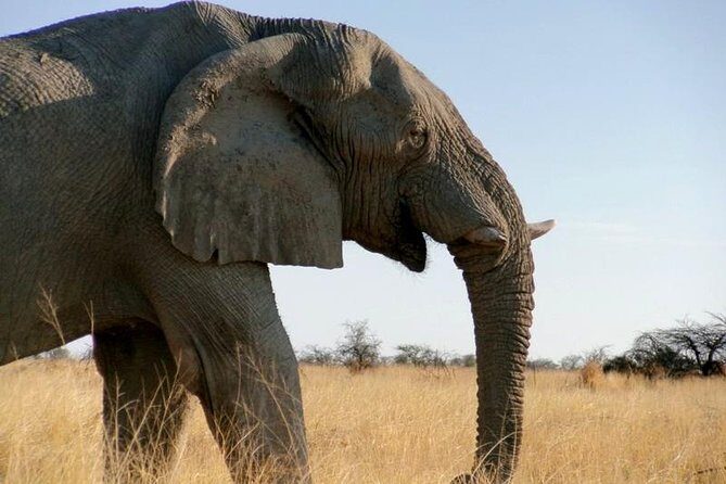 10-Day Namibia Highlights Guided Tour from Windhoek - Namib Naukluft Day 3: wildlife chances plus the Tropic of Capricorn