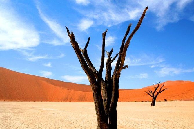 10-Day Namibia Highlights Guided Tour from Windhoek - Twyfelfontein UNESCO engravings and the Living Museum meet-up