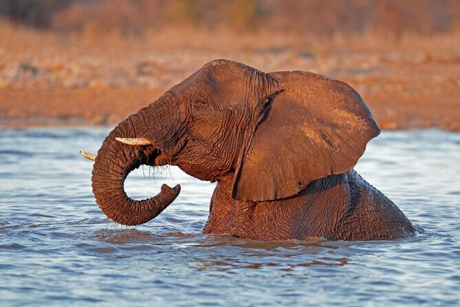 10-Day Private Yoga Adventure in Namibia - Key highlights at a glance