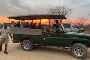 10-Day Private Yoga Adventure in Namibia - Etosha National Park: sunrise safaris and sunset yoga