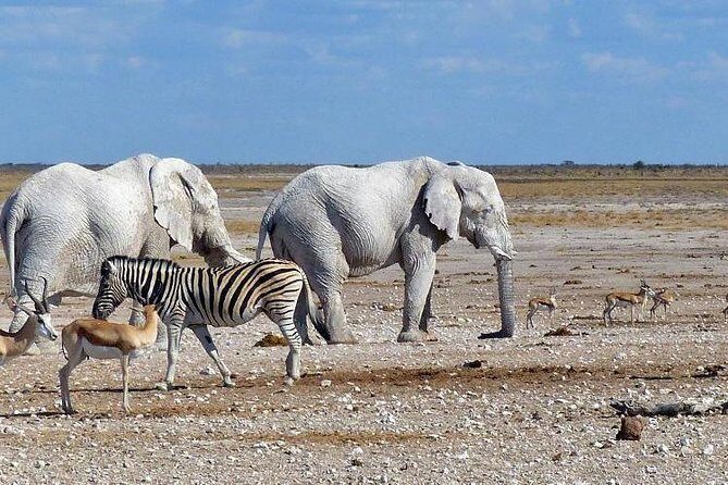 10 DAYS BEAUTY OF NAMIBIA | Guided Lodge - Kuiseb Pass and the Tropic of Capricorn: quick stops that break up long drives