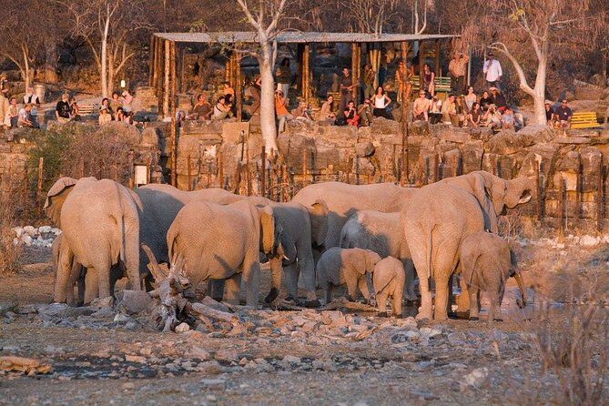 10 DAYS BEAUTY OF NAMIBIA | Guided Lodge - Himba and Damara culture stops: respect first, questions always