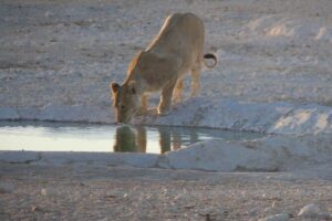 10 Namibia Adventures - Namib-Naukluft: narrow gorge hiking and real desert effort