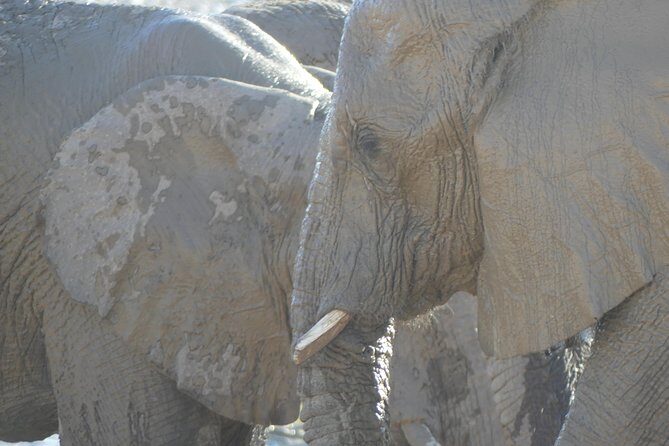 10 Namibia Adventures - Solitaire and Sesriem: the apple pie stop and a dune sunset payoff