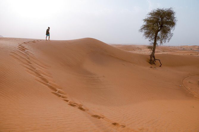 10 Namibia Adventures - Swakopmund and Walvis Bay: desert-to-ocean breathing room