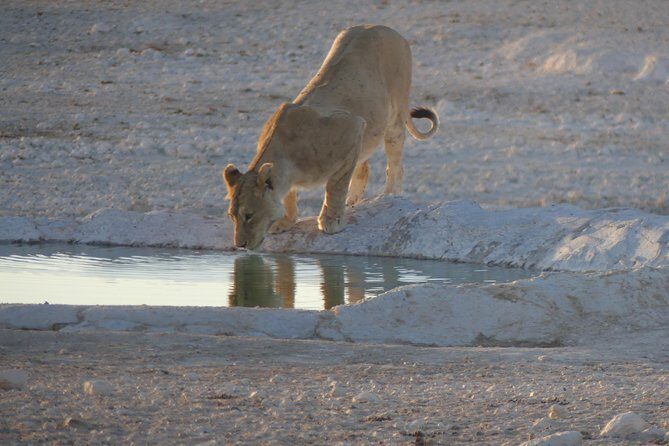 10 Namibia Adventures - Namib-Naukluft: narrow gorge hiking and real desert effort