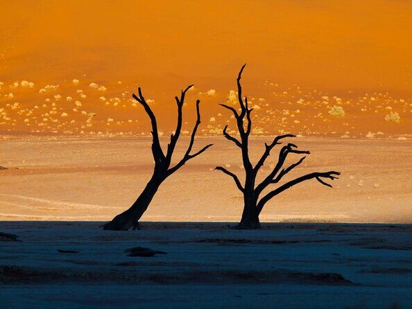 11 Days Small Group Namibia Experience Fully Accommodated Tour - Why This Namibia Route Feels Less Like Logistics and More Like Time