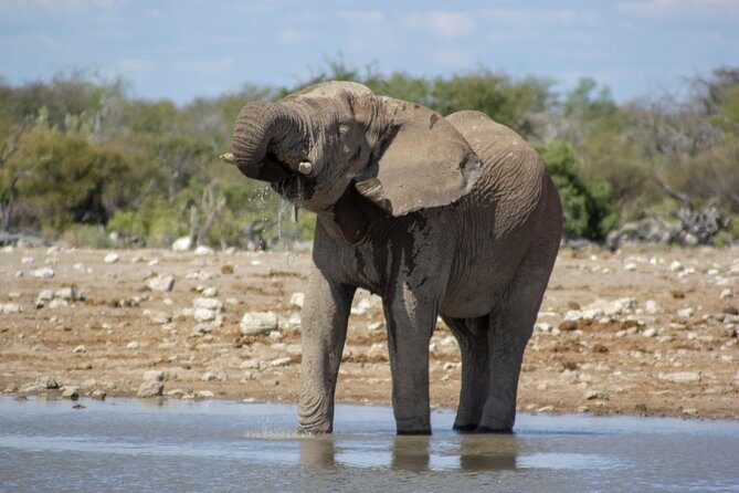 11 Days Small Group Namibia Experience Fully Accommodated Tour - Namib-Naukluft: Bushman Walks, Dead Vlei, Dune 45, and Sesriem Canyon