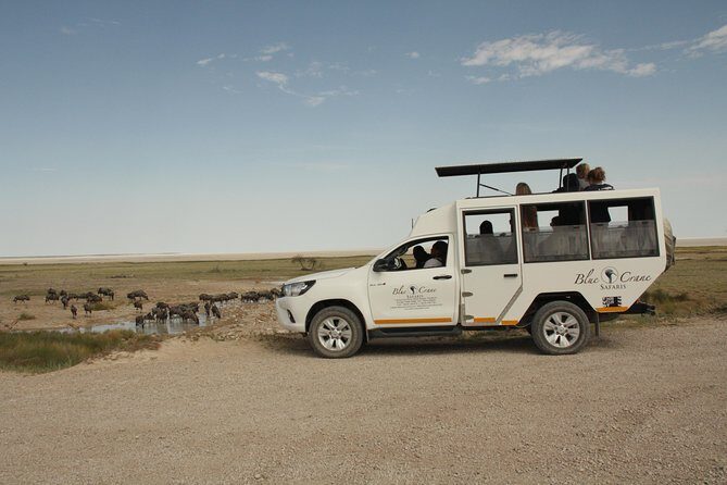 11 Days Small Group Namibia Experience Fully Accommodated Tour - Swakopmund and Walvis Bay: Desert-to-Sea Contrast with Real Birdwatching