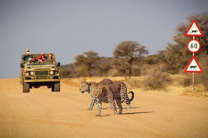 12 Day Classic Namibia Camping Safari - A 12-day loop through Namibia’s biggest wildlife and dune hits