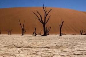 2 Day Scenic Sossusvlei Adventure Tour in Namibia - Solitaire refuel and Moon Mountain Luxury tented camp