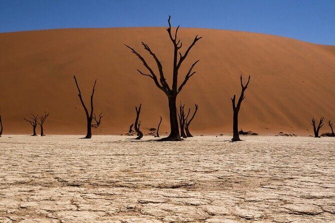2 Day Scenic Sossusvlei Adventure Tour in Namibia - Solitaire refuel and Moon Mountain Luxury tented camp