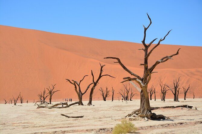 2 Days Guided Tour in Sossusvlei and Sandwich Harbor - Why this 2-day Sossusvlei and Sandwich Harbour plan works