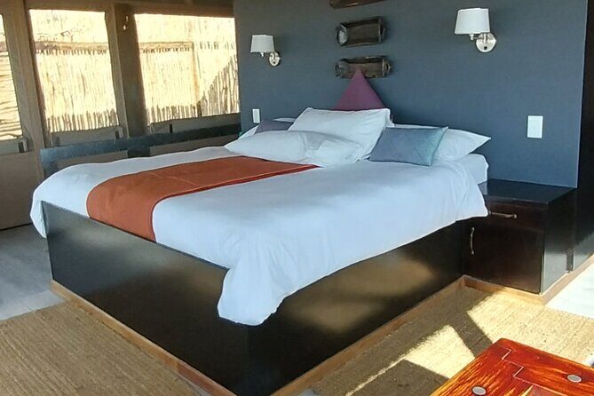 2 Days Guided Tour in Sossusvlei and Sandwich Harbor - Day 1 in Namib-Naukluft: Dune 45, Big Daddy, and Deadvlei’s eerie quiet