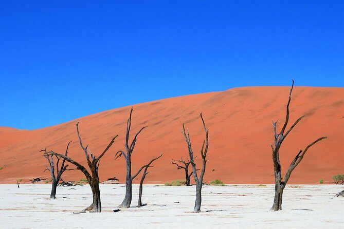 2 Days Sossusvlei Private Camping Tour - Sossusvlei in Two Days: Timing That Turns a Drive Into a Real Trip