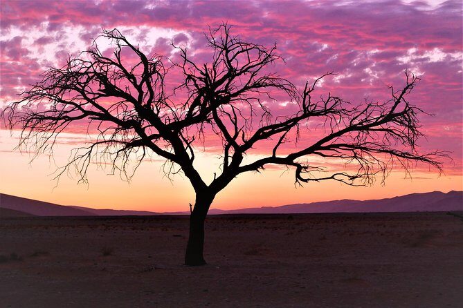 2 Days Sossusvlei Private Camping Tour - Pickup, Vehicle Comfort, and How the Day Actually Starts
