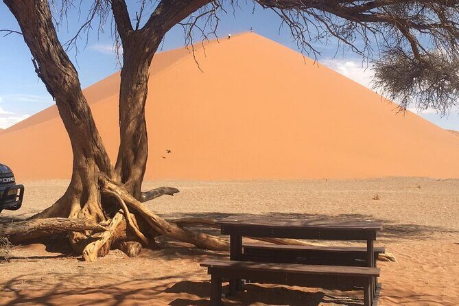 3 Day Camping safari at Sossusvlei - Comfort in the vehicle: AC, driving support, and small extras