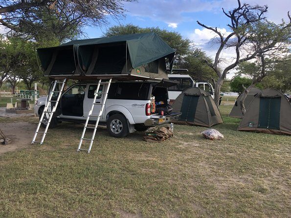3 Day Camping tour at Etosha National Park - Day 1 at Okaukuejo: check-in, camp setup, then wildlife by night