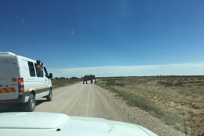 3 Day Camping tour at Etosha National Park - Wildlife spotting with an English-speaking guide: the real value