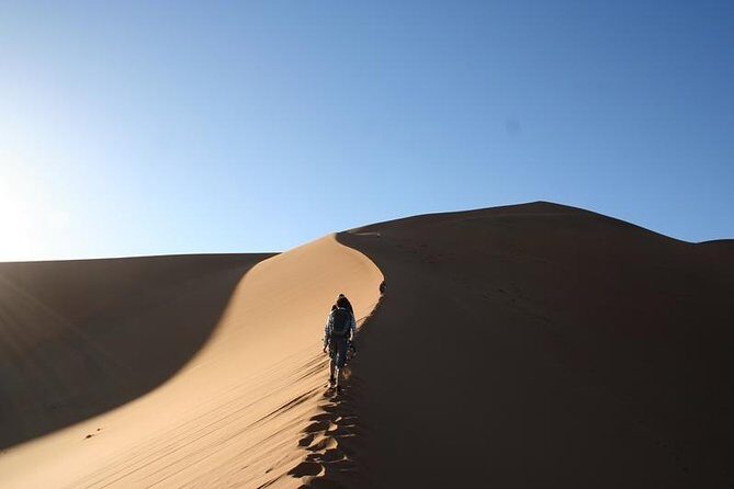 3 Day Sossusvlei Budget Camping Safari - Sesriem camp setup: your base under a camelthorn tree