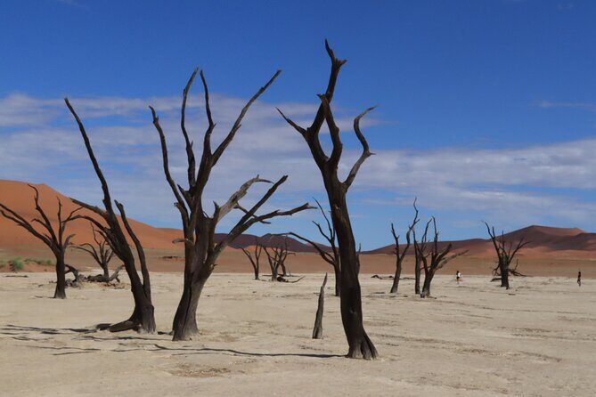3 Day Sossusvlei Camping Schedule and Sandwich Habor - Day 1: Dune 45 and your first night in the oldest desert