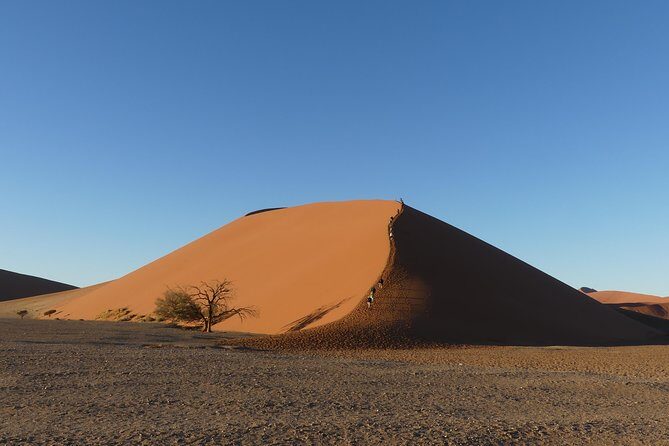 3 Days Amazing Red Dunes of Sossusvlei | Private Guided Tour - Day 2: Dune 45 climb and the light you’ll chase