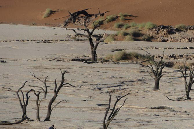 3 Days Amazing Red Dunes of Sossusvlei | Private Guided Tour - Deadvlei: walking among white clay and ancient trees
