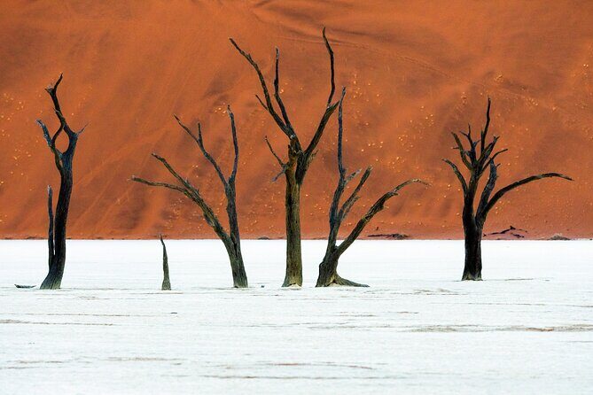 3 Days Amazing Red Dunes of Sossusvlei | Private Guided Tour - Price and value: what $1,421.67 per person really buys