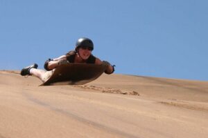 3-Hour Quad Biking and Sand-Boarding Combo from Swakopmund - Wildlife and Desert Plants: What You’re Meant to Notice