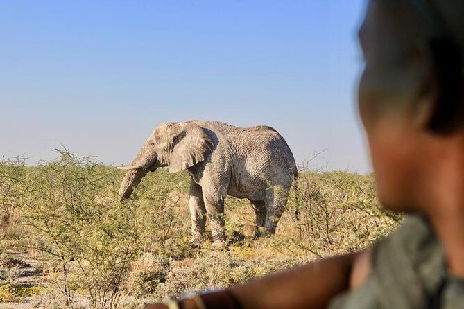 6-Day Dunes and Wildlife Accommodated Safari from Windhoek - Swakopmund dunes to Solitaire: Kuiseb Pass and Gaub Pass pacing