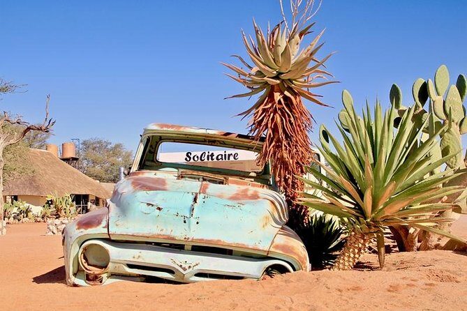 6-Day Dunes and Wildlife Accommodated Safari from Windhoek - Solitaire cheetahs: what you’re really doing in the conservation project