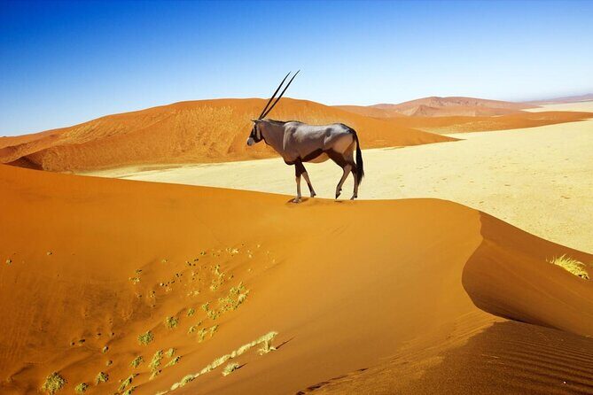 6 Day Private Guided Accommodated Namibian Loop - Key Highlights You’ll Feel on This Tour
