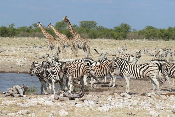 6 Day Private Guided Accommodated Namibian Loop - A Private 6-Day Loop That Packs Namibia Without Feeling Like a Sprint