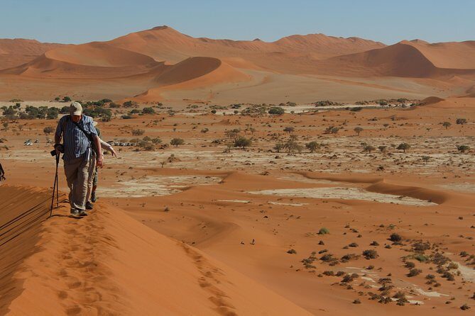 6 Day Private Guided Accommodated Namibian Loop - Day 5: Sossusvlei Early Access, Deadvlei Photos, and Sesriem Canyon Walk