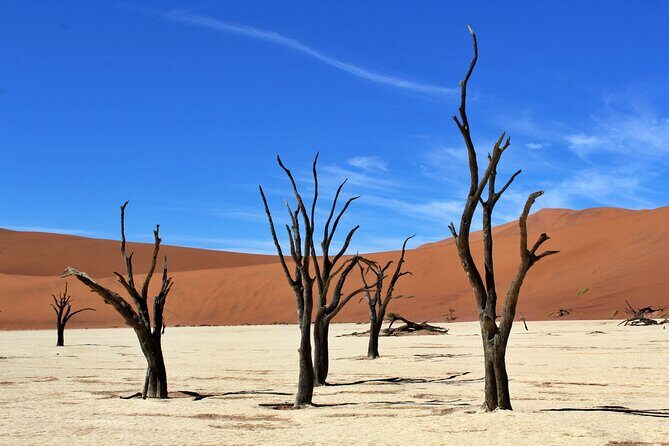 6 Day Private Guided Accommodated Namibian Loop - Day 6: Final Drive Back to Windhoek, plus a Hot Air Balloon Choice