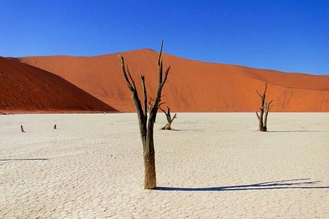 7 Day - Kalahari TOP attractions - Driving Through the Kalahari: Quiver Trees, Giant Playground, and a Fossil Stop