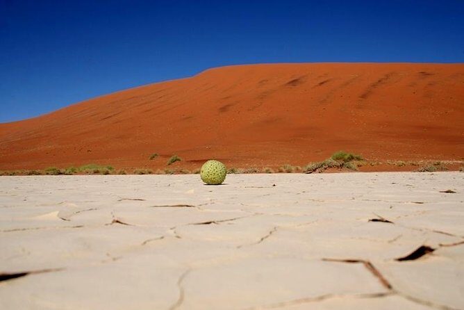 7 Day - Kalahari TOP attractions - Guides and Vehicle Comfort: Why the Right Person Matters