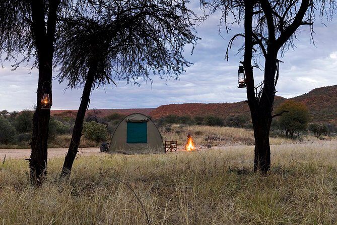7 Day Northern Namibia and Skeleton Coast Camping Safari - Northern Namibia In 7 Days: Good Mixing, Real Time