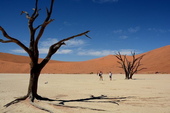 7 Day Southern Namibia and Sossusvlei Camping Safari - Camping comfort, included meals, and the vehicle setup that matters