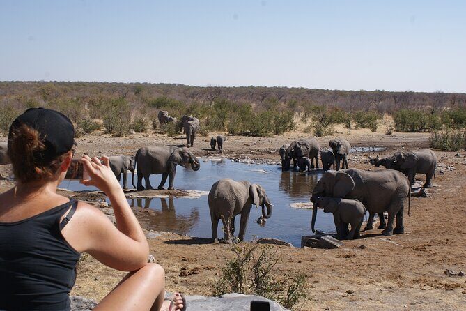 7 Day Taste of Namibia Lodging Safari - Why this Taste of Namibia runs like a highlights show (with substance)
