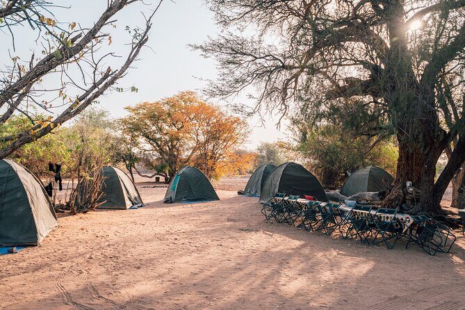 7 Day Taste of Namibia Lodging Safari - Solitaire cheetahs and the apple pie moment that ties it together