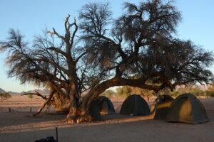 9 Day Canyons, Dunes & Wildlife Camping and Lodge Safari - Getting started in Windhoek: the first morning sets the rhythm
