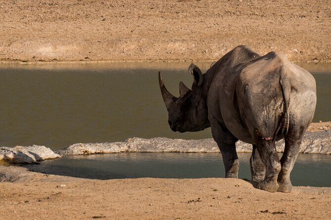 9 Day Canyons, Dunes & Wildlife Camping and Lodge Safari - Namib Rand camping at Klein-Aus: the desert gets quieter at night
