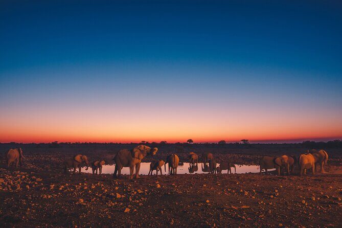 9 Day Etosha, Skeleton Coast and Sossusvlei Camping and Lodge Safari - The small-group setup: pop-up roof safari vehicle and real pacing
