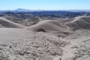 Cruise liner Special: Swakopmund and Namib Desert Highlights - Getting On Board: Walvis Bay Pickup and Cruise-Ship Timing