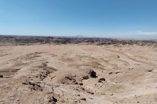 Cruise liner Special: Swakopmund and Namib Desert Highlights - Goanikontes: An Oasis in a Dry River Bed With Real History
