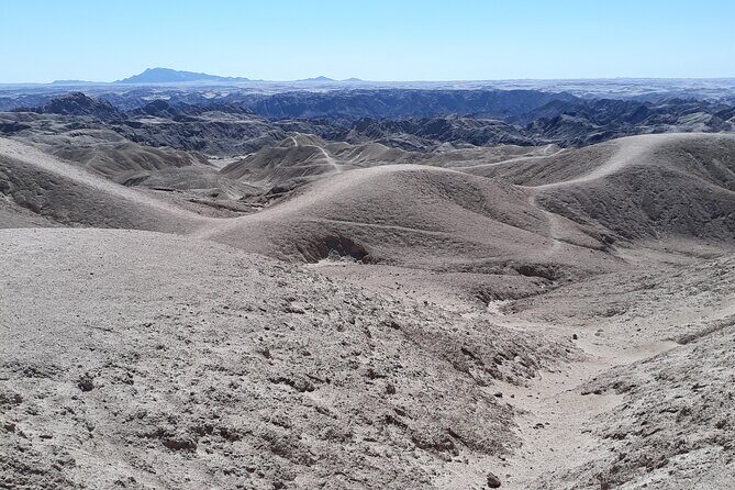 Cruise liner Special: Swakopmund and Namib Desert Highlights - Getting On Board: Walvis Bay Pickup and Cruise-Ship Timing
