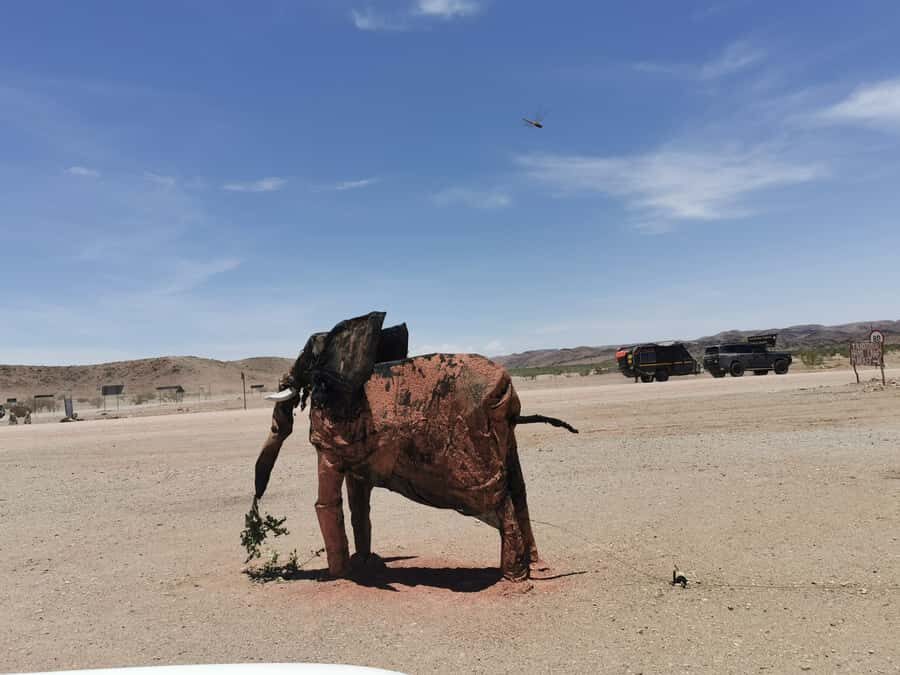 Elephant Adventure with Herson - a native of Damaraland - Herson’s guiding style: local knowledge that’s usable