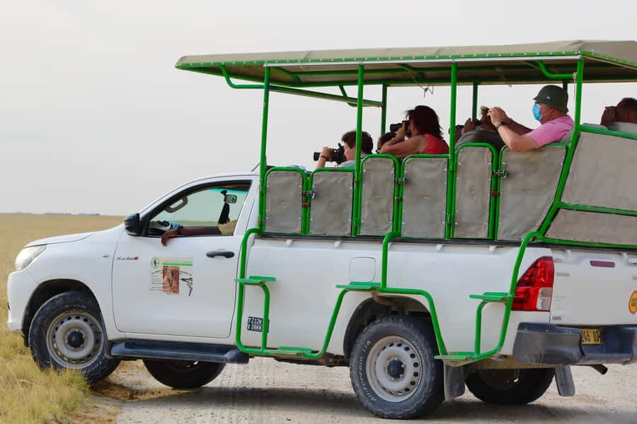 Etosha National Park: Full or Half-Day Game Drive - Anderson Gate Morning: Why This Start Time Matters